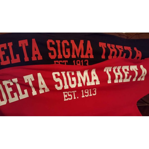T-Shirt: Delta Spirit Jersey